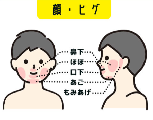 顔の脱毛部位を紹介している画像